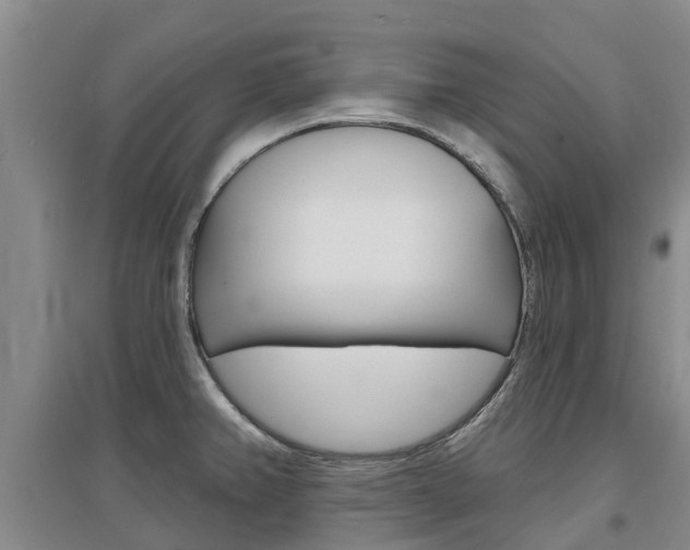 X0000097471382200802220820