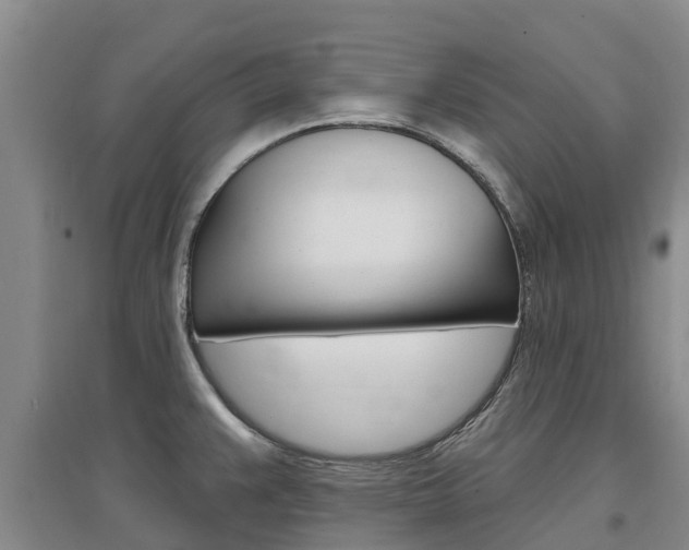 X0000097471383200802220820