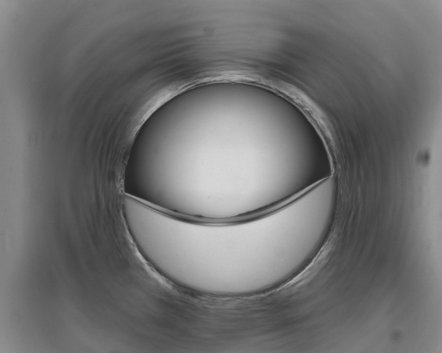 X0000097471385200802220820