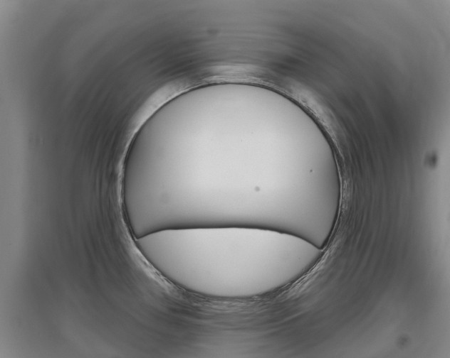 X0000097471386200802220820