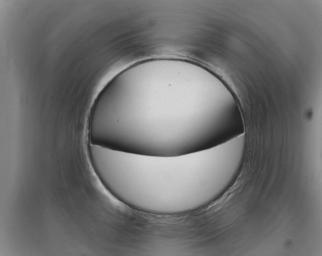 X0000097471387200802220820