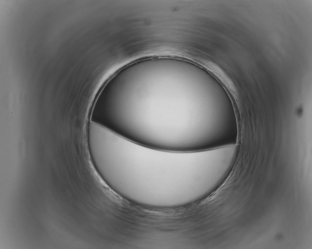 X0000097471388200802220820