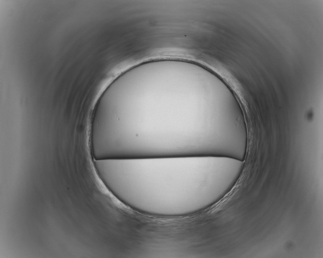 X0000097471390200802220820