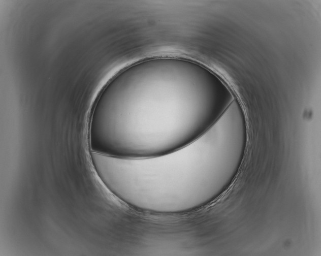 X0000097471392200802220819