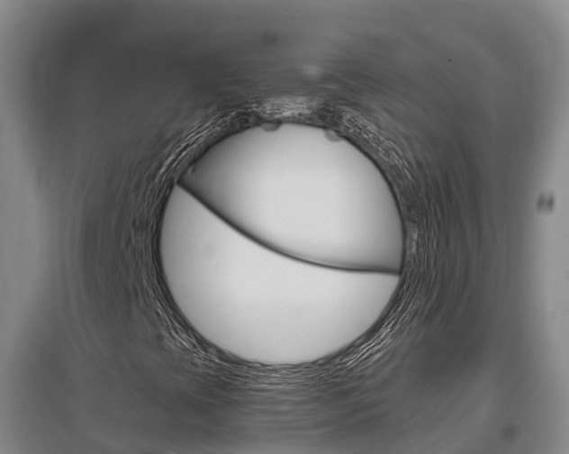 X0000097471393200802220819