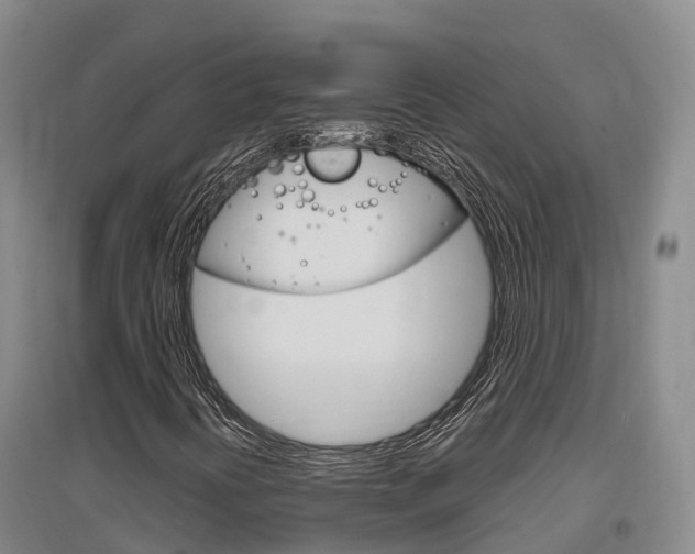 X0000097471394200802220819