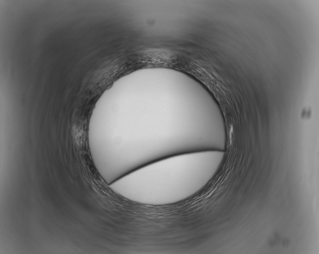 X0000097471395200802220819