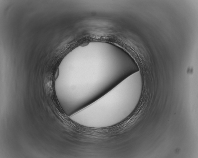 X0000097471396200802220819