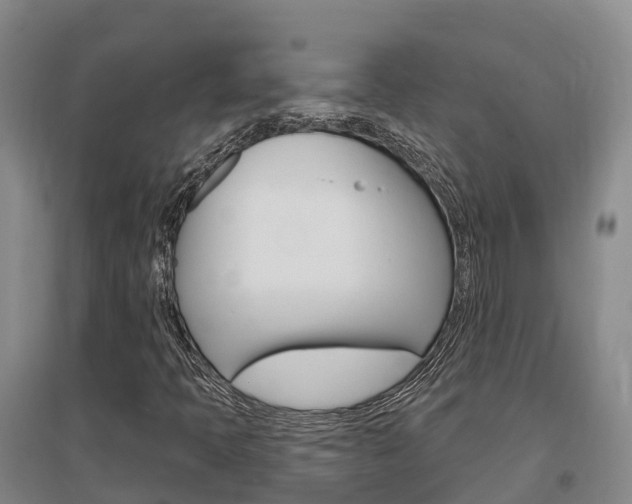 X0000097471397200802220819