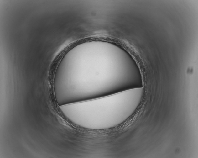 X0000097471400200802220819