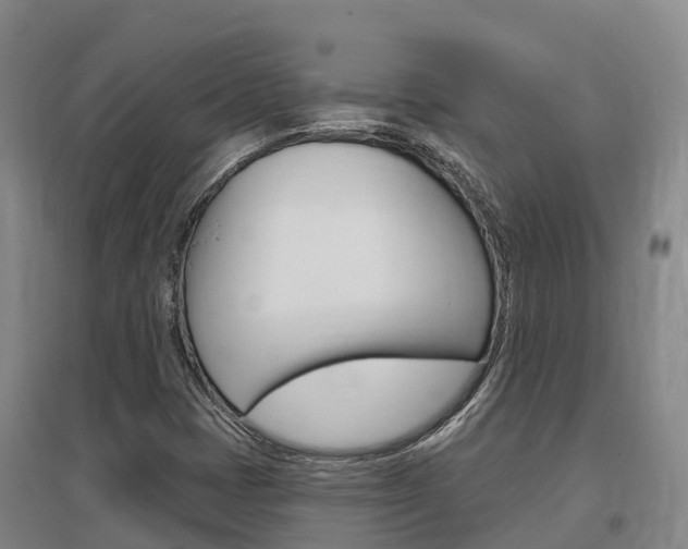 X0000097471401200802220819