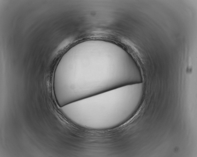 X0000097471403200802220819