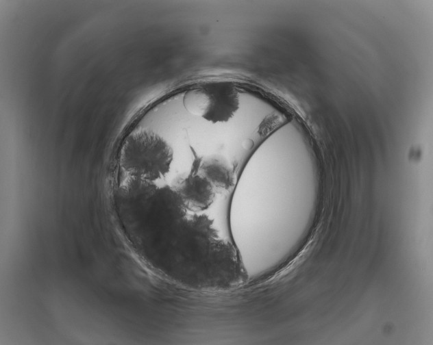 X0000097471405200802220819
