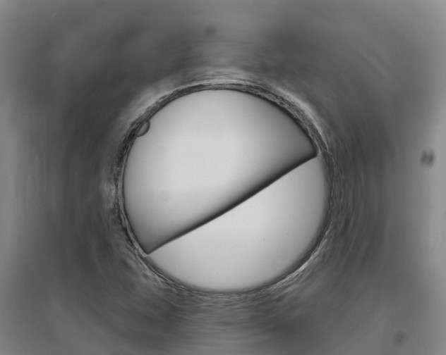 X0000097471407200802220819