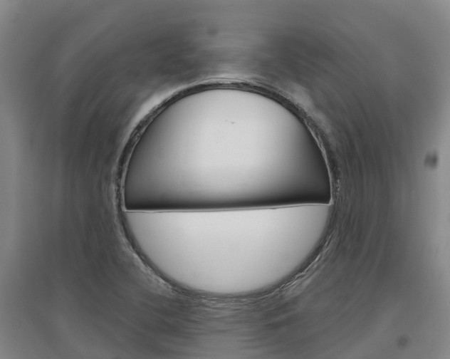 X0000097471412200802220819