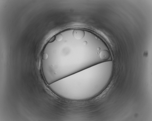 X0000097471413200802220819