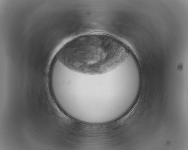 X0000097471414200802220819