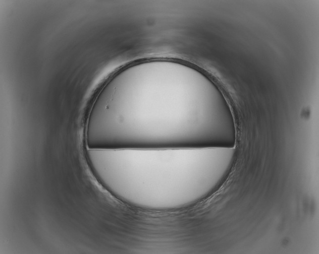 X0000097471416200802220819