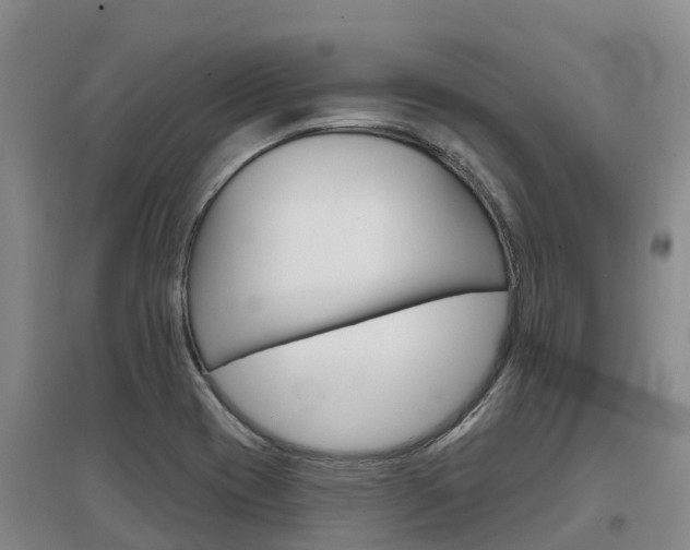 X0000097471417200802220819