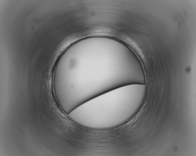 X0000097471419200802220819