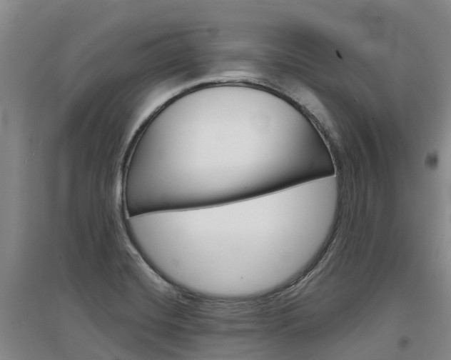 X0000097471420200802220819
