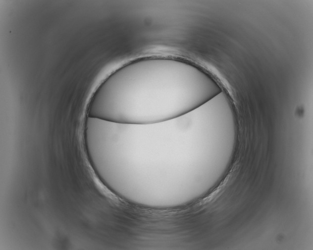 X0000097471421200802220819