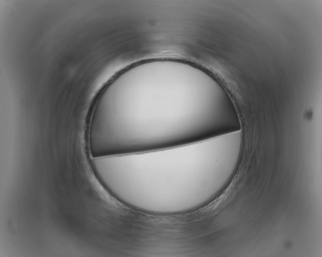 X0000097471422200802220819