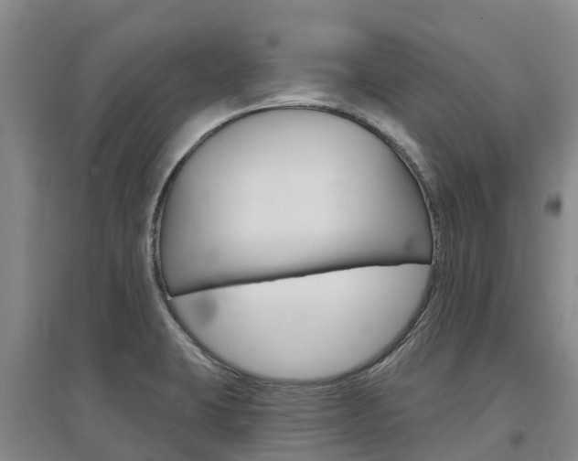 X0000097471423200802220819