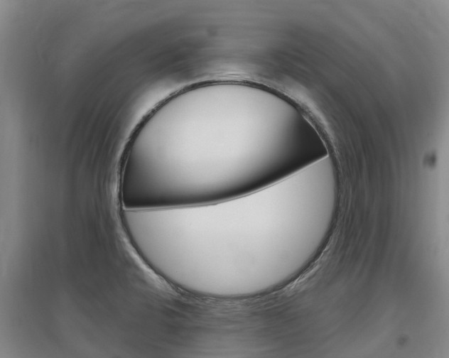 X0000097471424200802220819