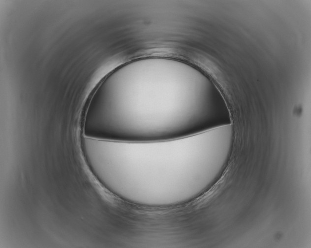 X0000097471426200802220819