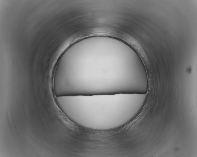 X0000097471427200802220819