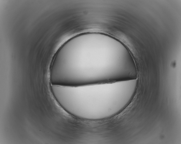 X0000097471428200802220819