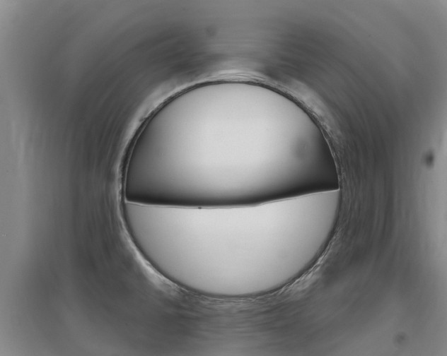 X0000097471430200802220819