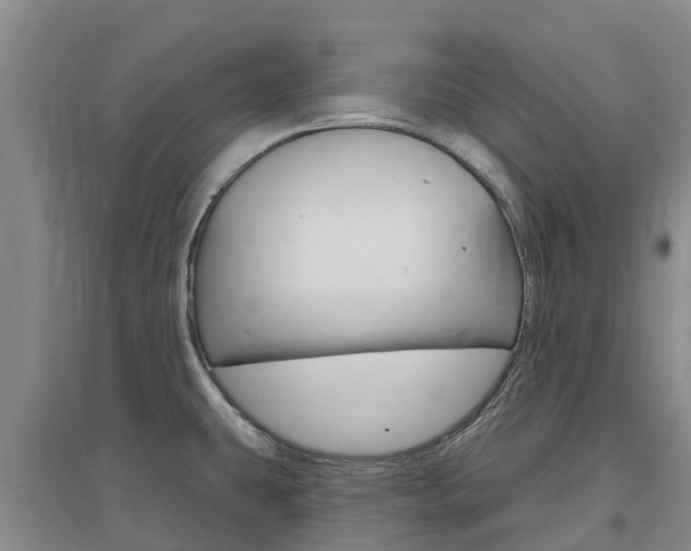 X0000097471431200802220819