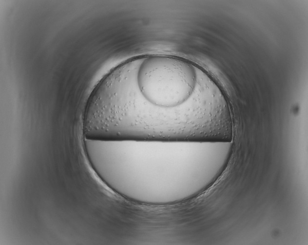 X0000097471432200802220819