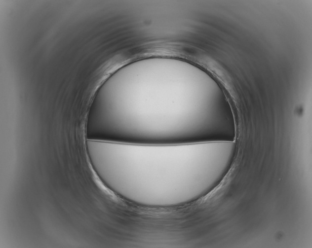 X0000097471433200802220819