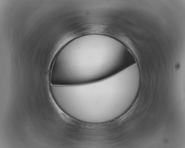 X0000097471434200802220819