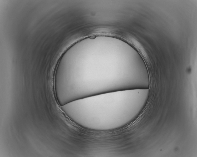 X0000097471435200802220819