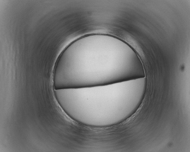 X0000097471436200802220819