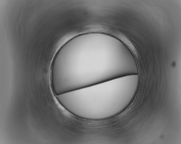X0000097471439200802220819