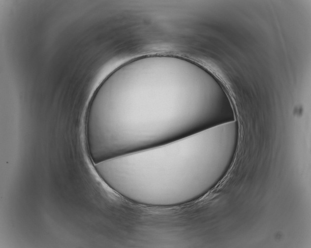 X0000097471440200802220819