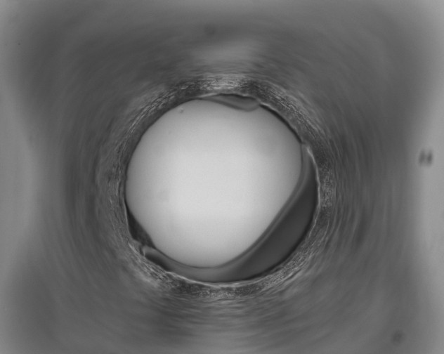 X0000097471441200802220819