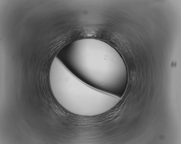 X0000097471442200802220819