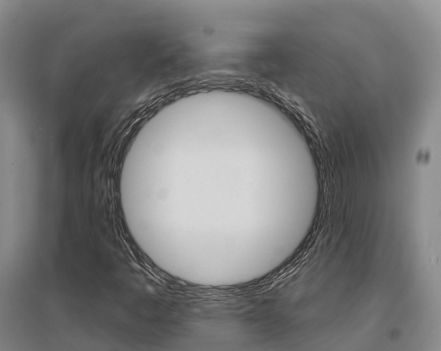 X0000097471445200802220819