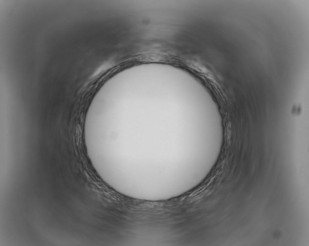 X0000097471446200802220819