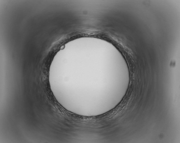 X0000097471447200802220819