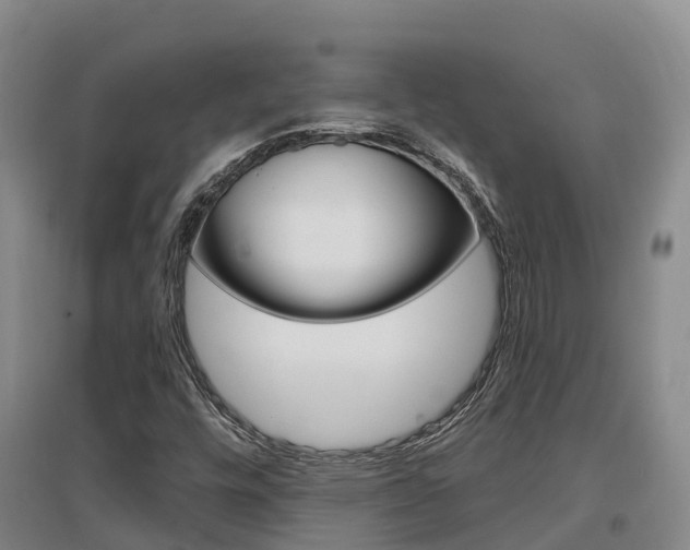X0000097471448200802220819