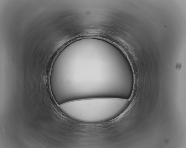 X0000097471449200802220819