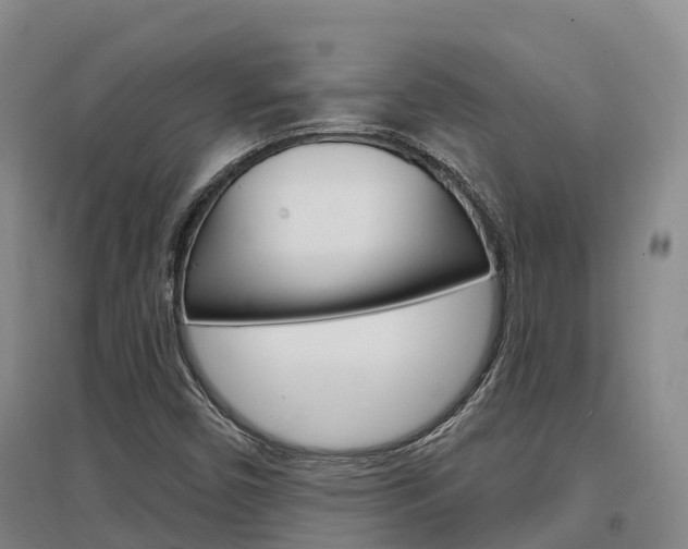X0000097471450200802220819