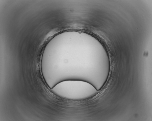 X0000097471451200802220819